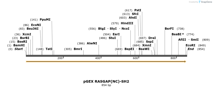 65588_map