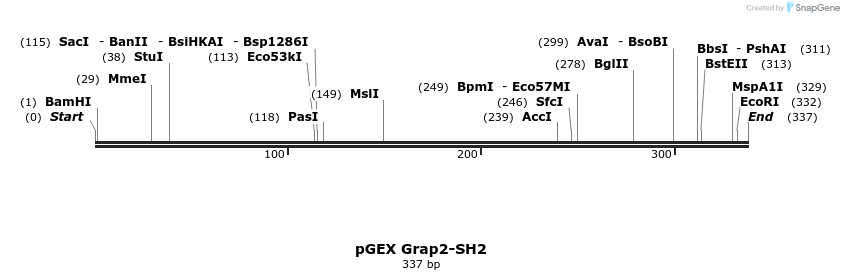 65592_map