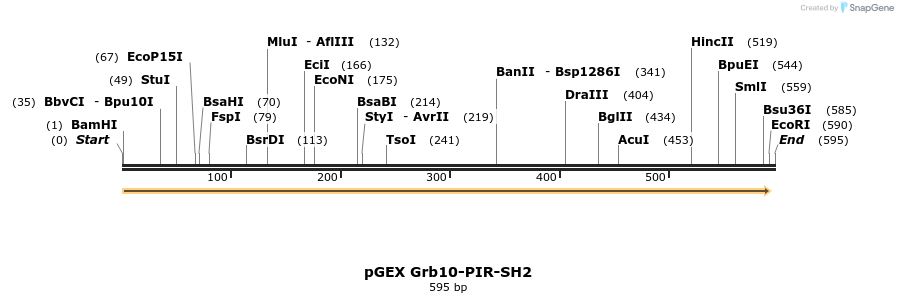 65594_map
