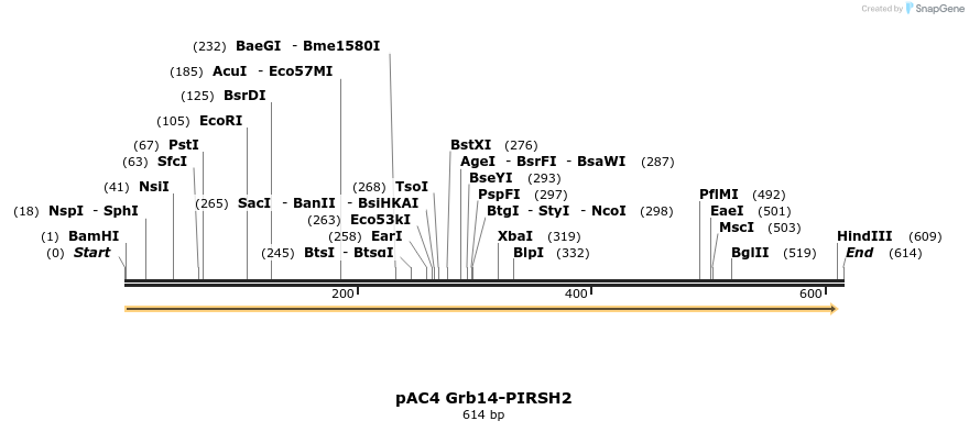 65598_map