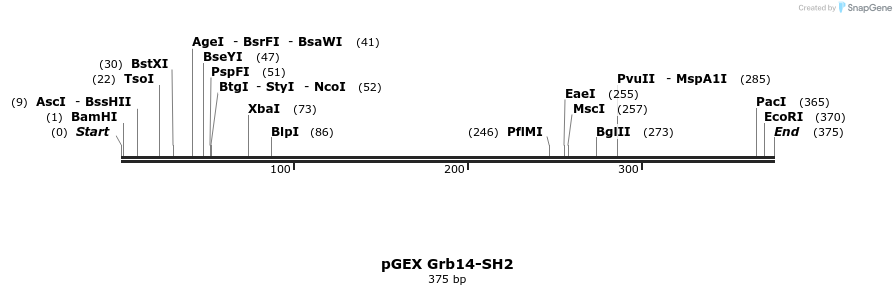 65600_map