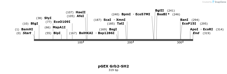65602_map