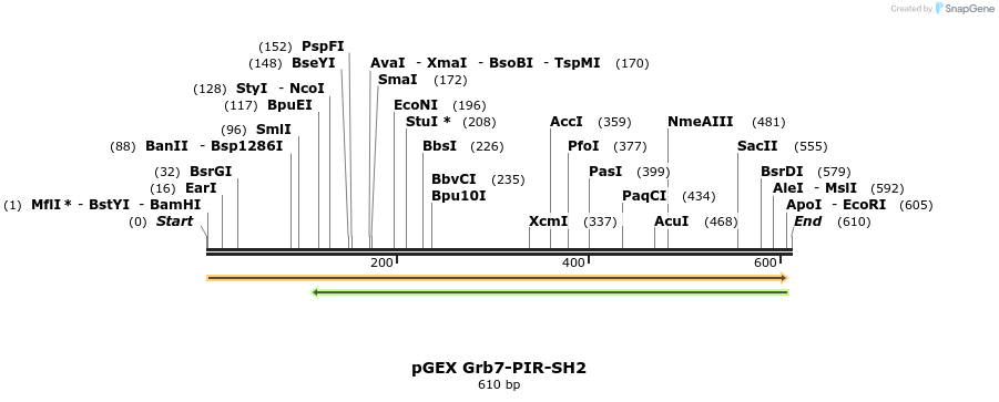 65608_map
