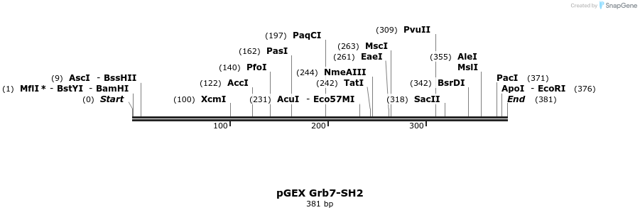 65610_map