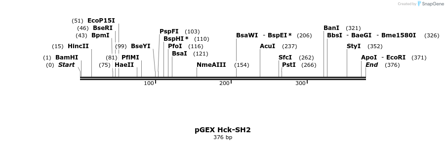 65612_map