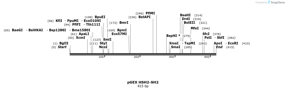 65614_map