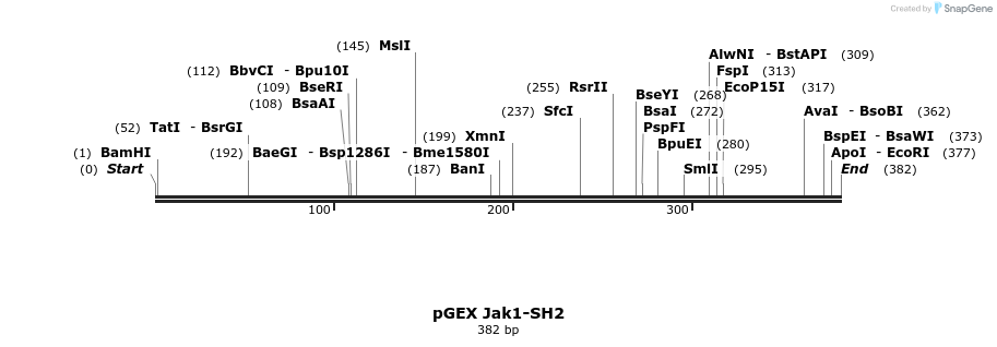 65616_map