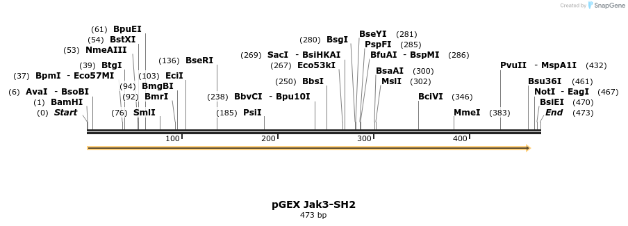 65620_map