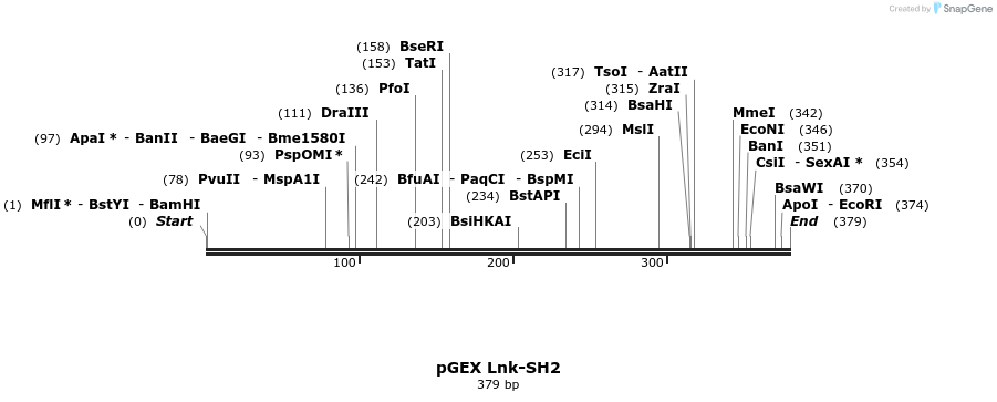 65624_map
