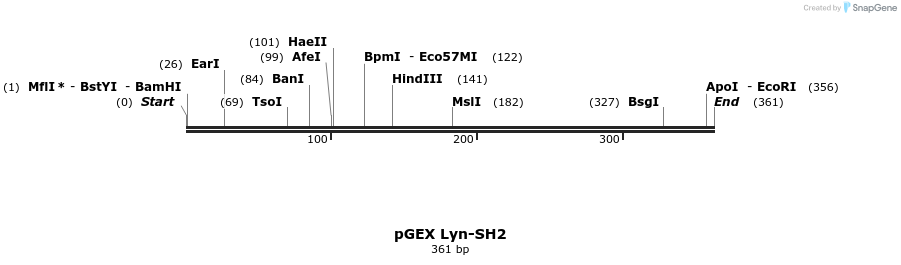 65626_map