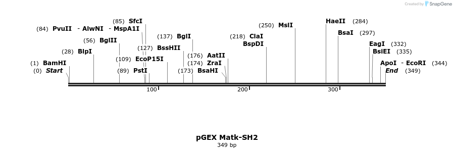 65628_map