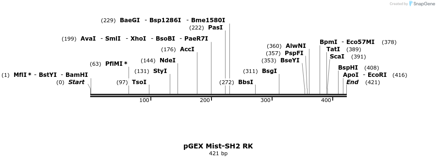 65632_map