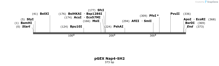 65634_map