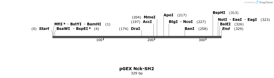 65636_map