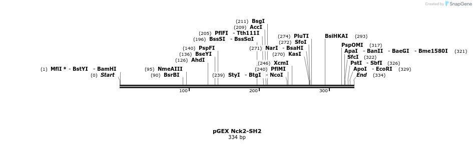 65638_map
