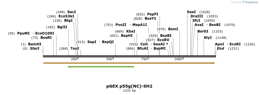 65646_map