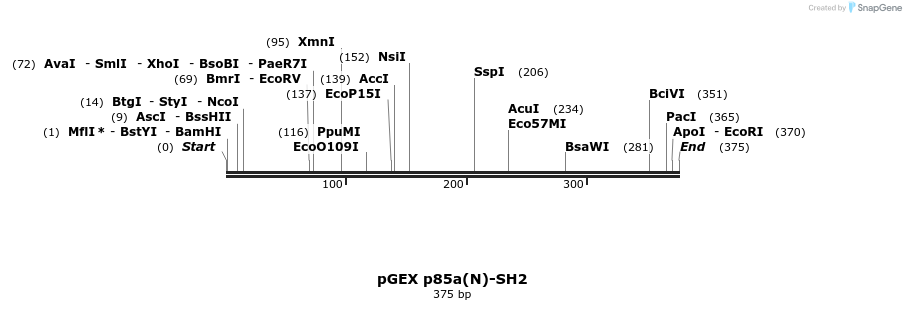 65650_map