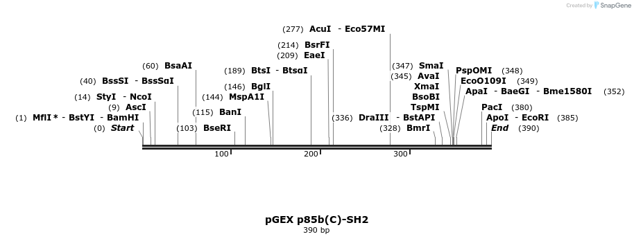 65654_map