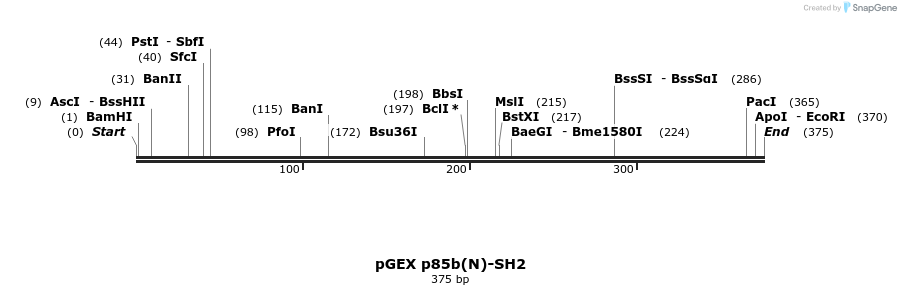65656_map