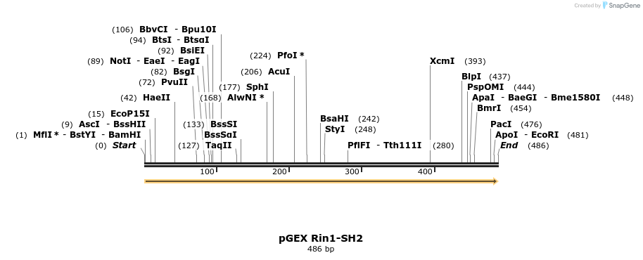 65670_map
