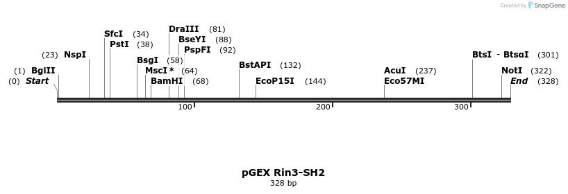65674_map