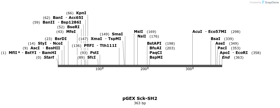 65678_map