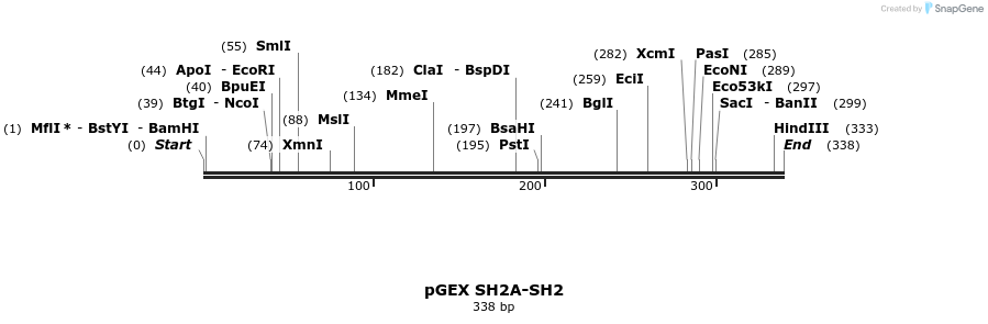 65683_map