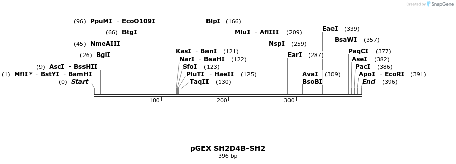 65685_map