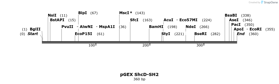 65697_map