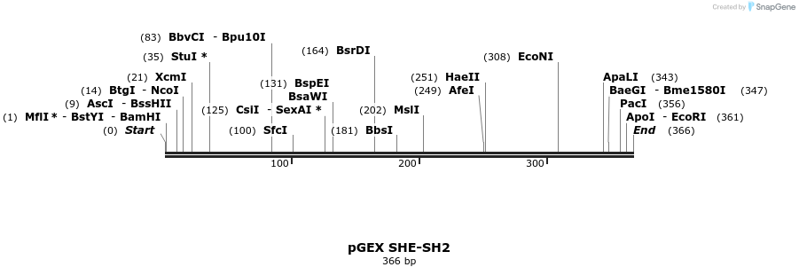 65701_map