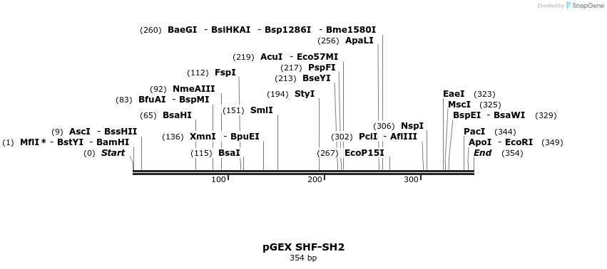 65703_map