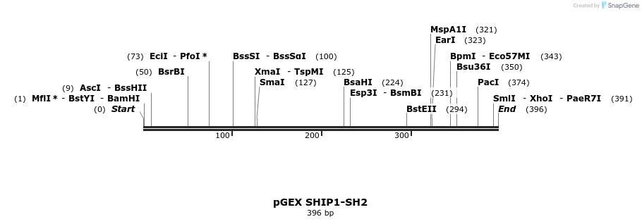 65705_map