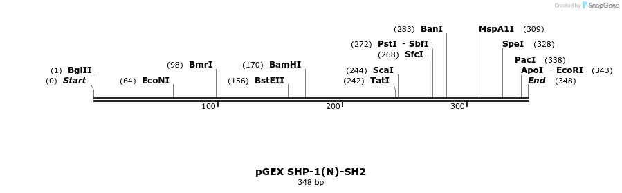 65711_map