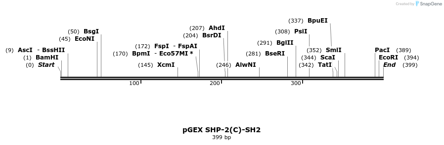 65715_map