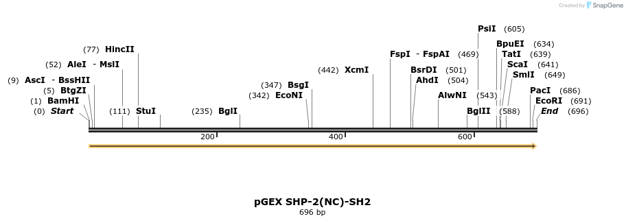 65719_map