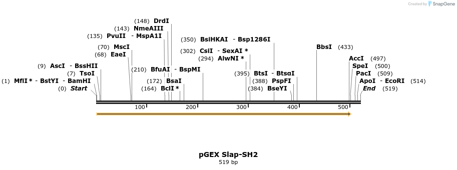 65721_map