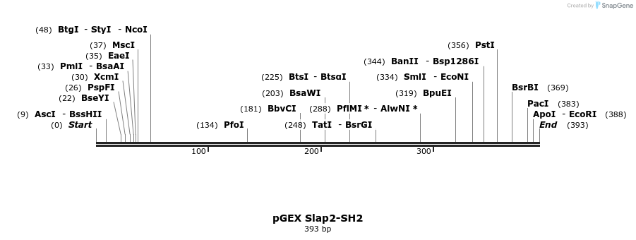65723_map