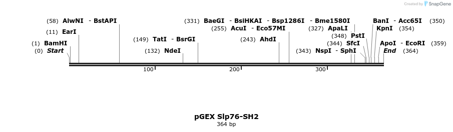 65727_map