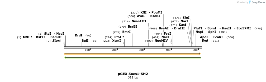 65729_map