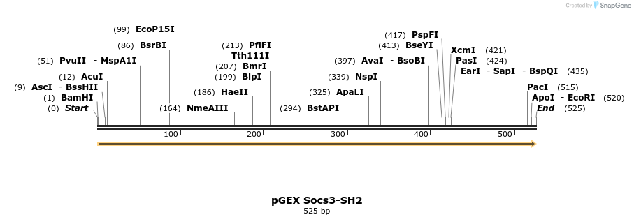 65733_map