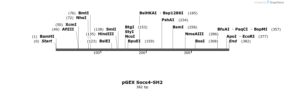 65735_map