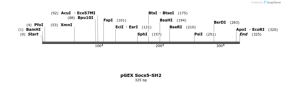 65737_map
