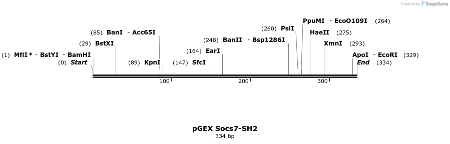 65739_map