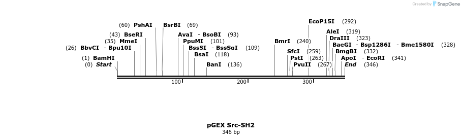 65741_map