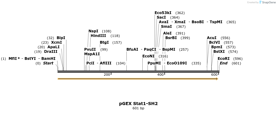 65743_map
