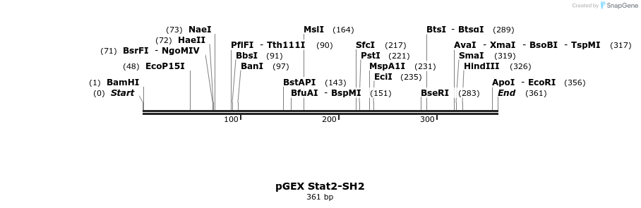 65745_map