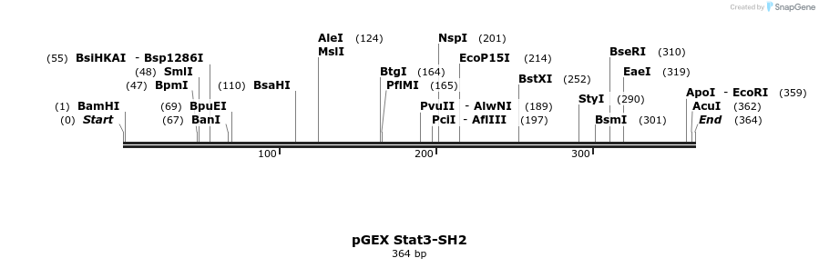 65747_map