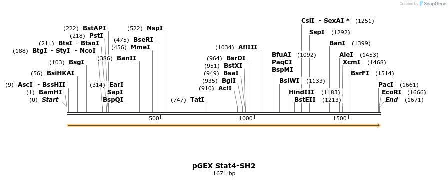 65749_map