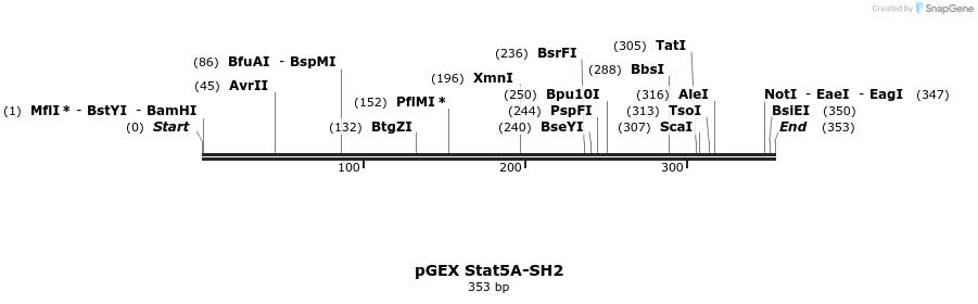 65751_map