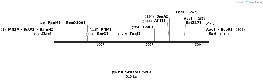 65753_map